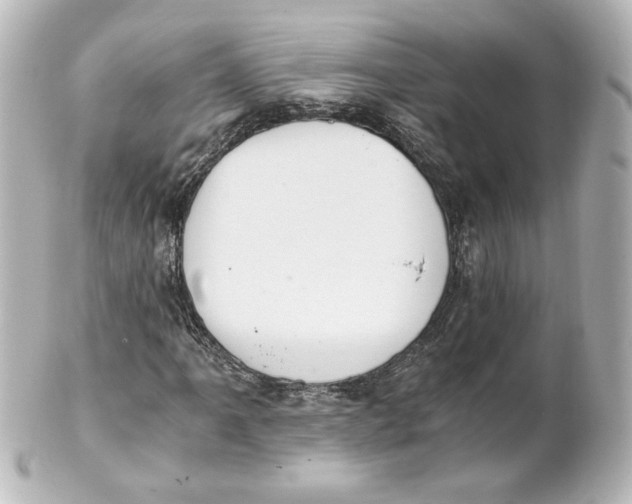 X0000101431061200807280955