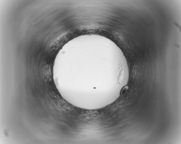 X0000101431062200807280955