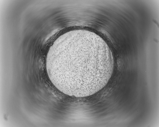 X0000101431064200807280955