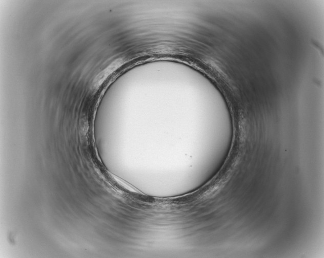 X0000101431065200807280955