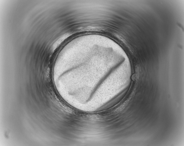 X0000101431066200807280955