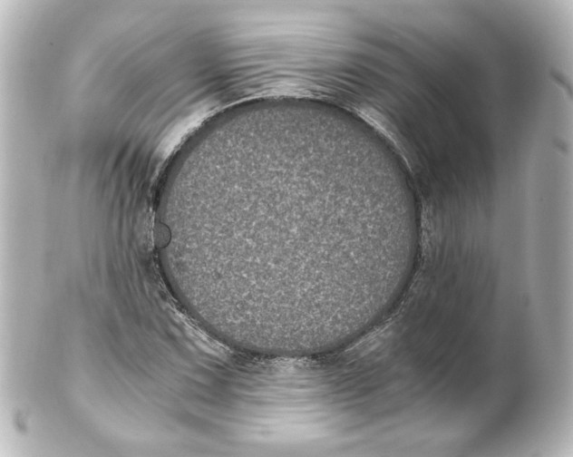 X0000101431067200807280955