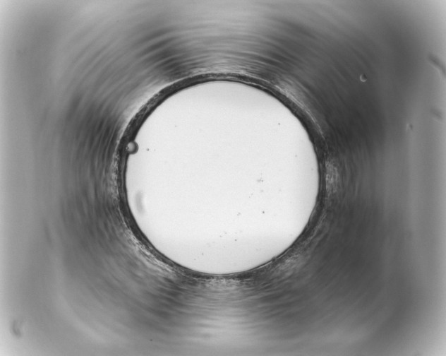 X0000101431068200807280955