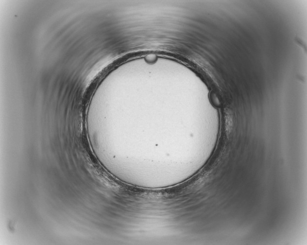 X0000101431069200807280955