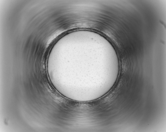 X0000101431070200807280955