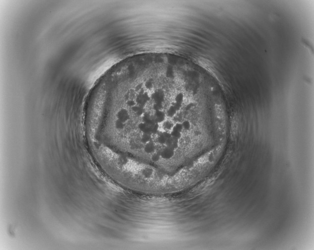 X0000101431071200807280955