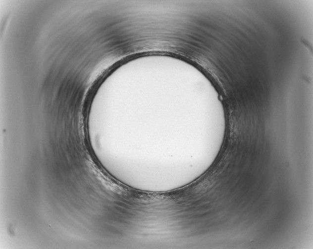 X0000101431072200807280955