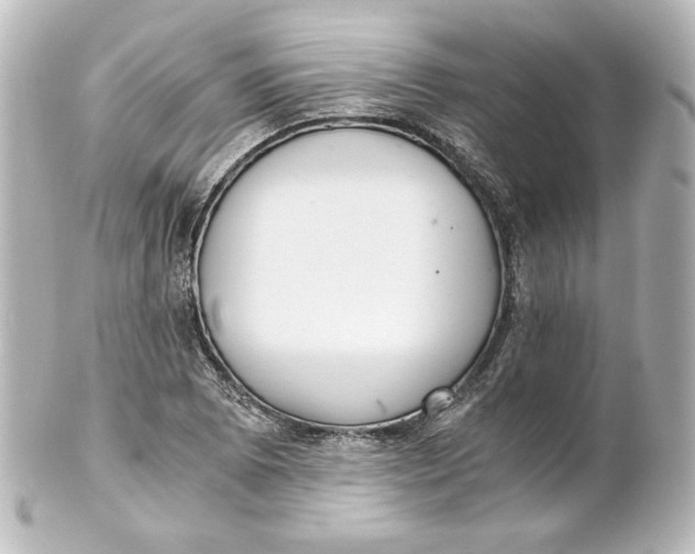 X0000101431073200807280955