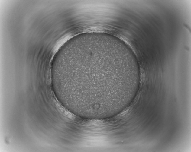 X0000101431075200807280955