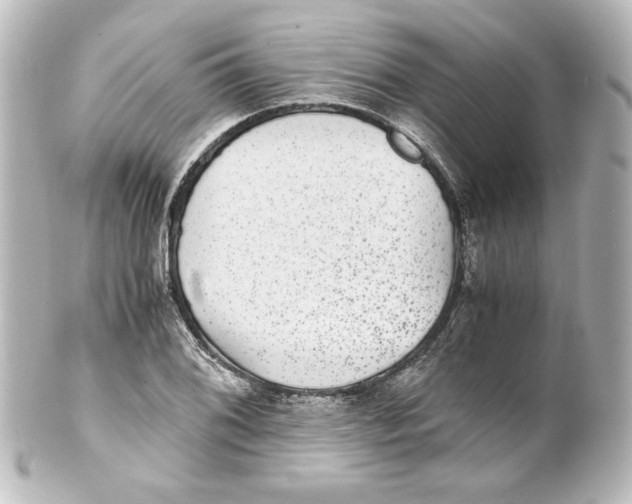 X0000101431076200807280955