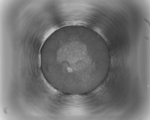 X0000101431079200807280955