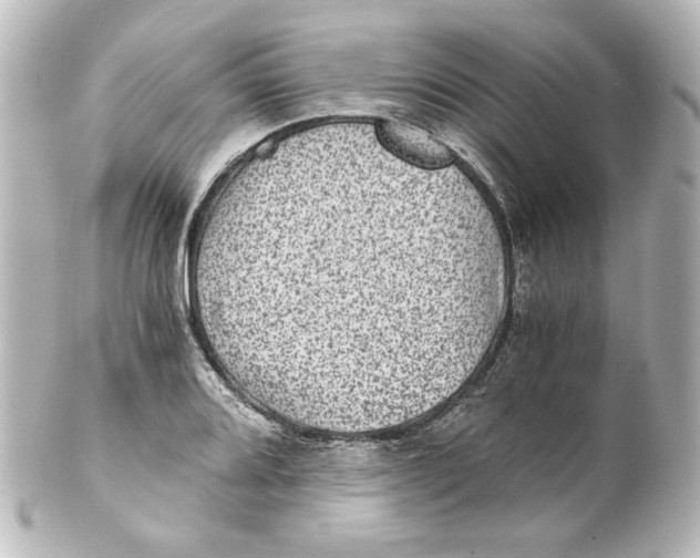 X0000101431080200807280955