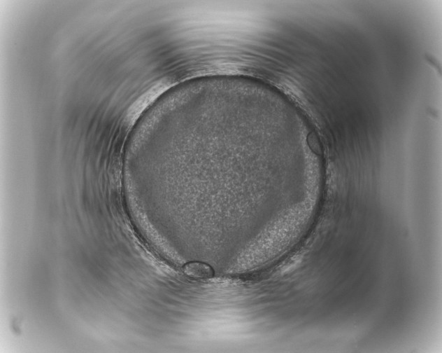 X0000101431081200807280955