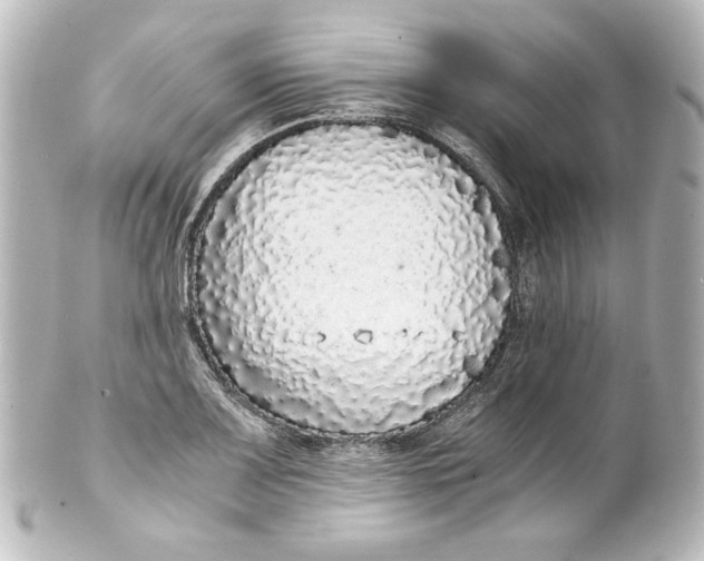 X0000101431083200807280955