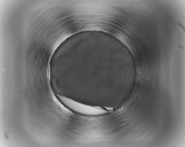 X0000101431084200807280955