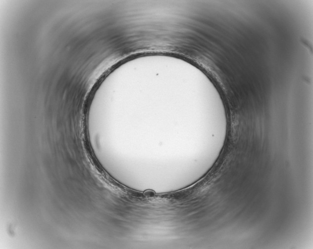 X0000101431085200807280955