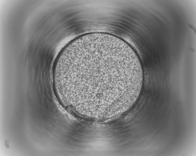 X0000101431088200807280955