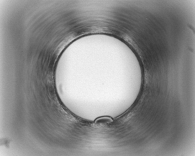 X0000101431089200807280955