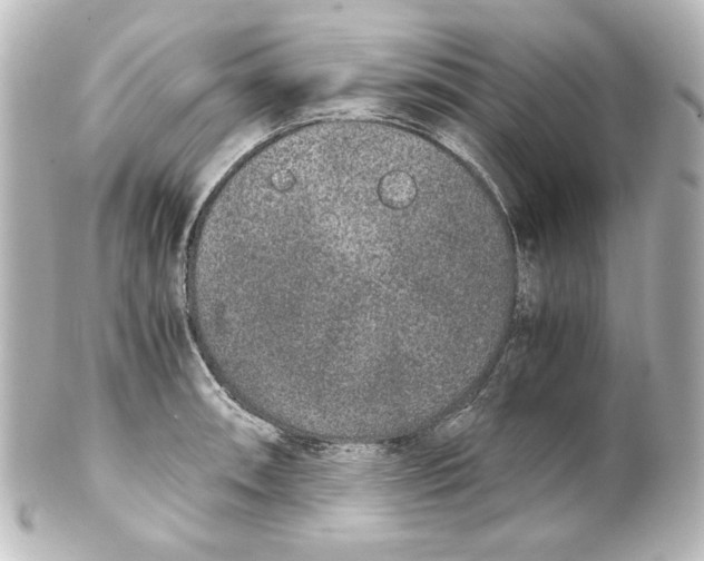 X0000101431090200807280955