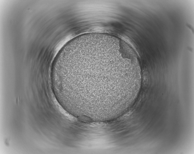 X0000101431091200807280955