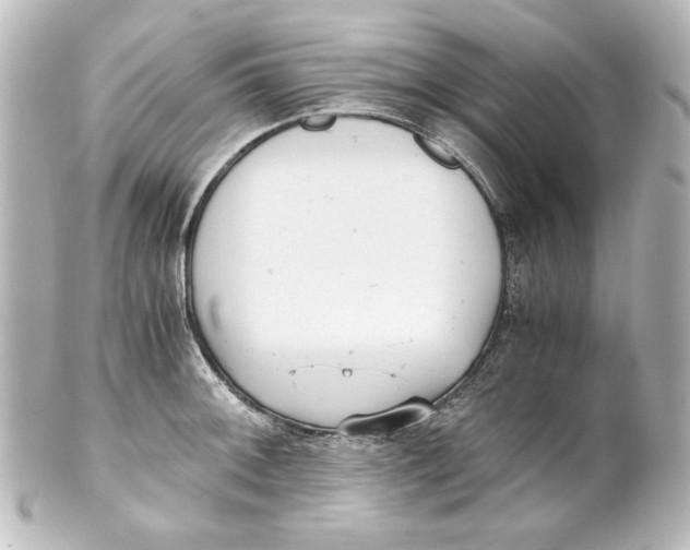 X0000101431092200807280955