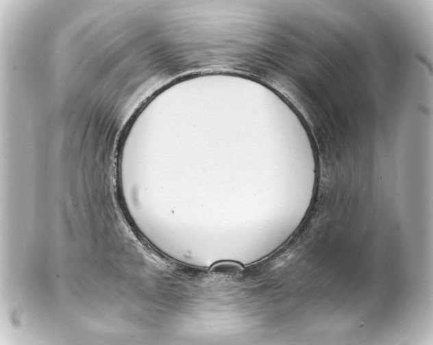 X0000101431093200807280955