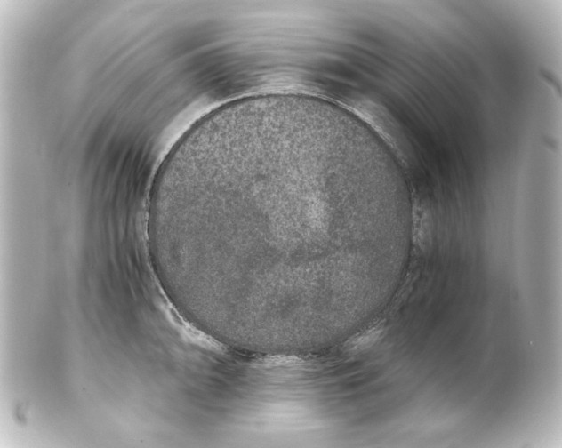 X0000101431094200807280955