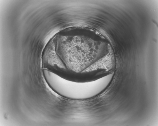 X0000101431095200807280955