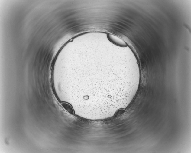 X0000101431096200807280955