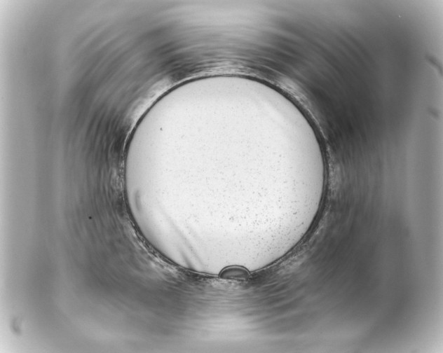 X0000101431097200807280955