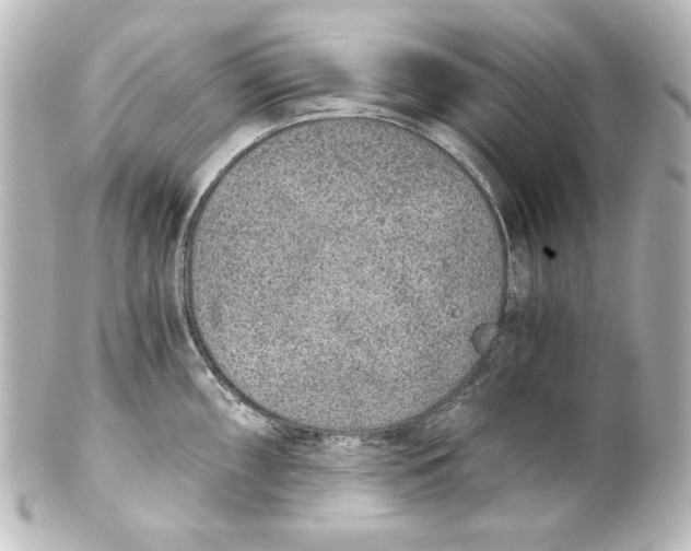 X0000101431098200807280955