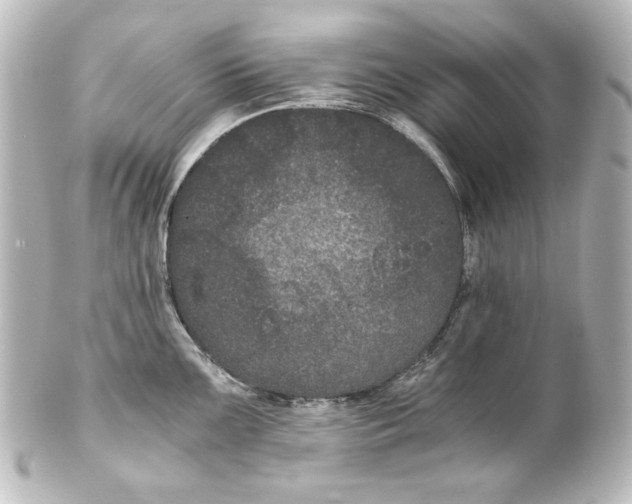 X0000101431099200807280955