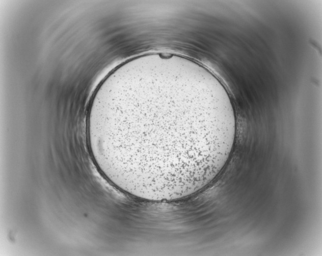 X0000101431100200807280955