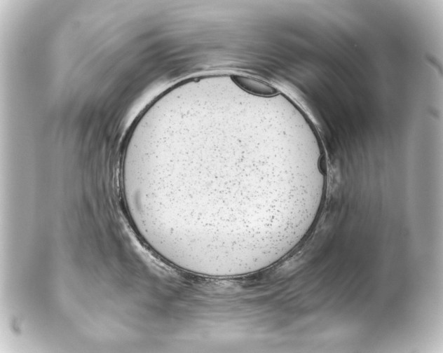 X0000101431101200807280955