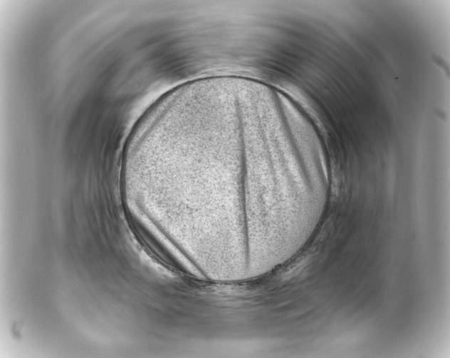 X0000101431102200807280955