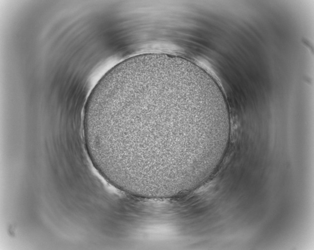 X0000101431103200807280955