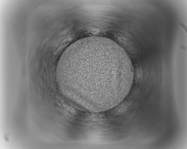 X0000101431105200807280954