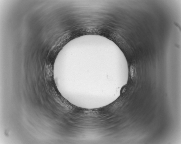 X0000101431107200807280954