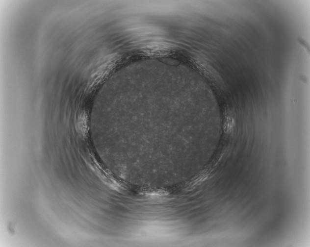 X0000101431108200807280954