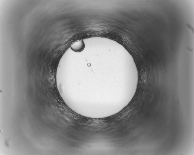 X0000101431109200807280954