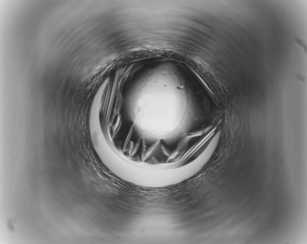 X0000101431110200807280954