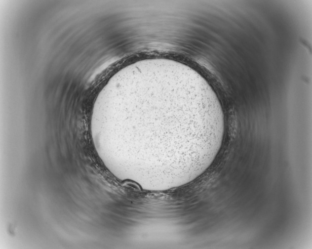 X0000101431112200807280954