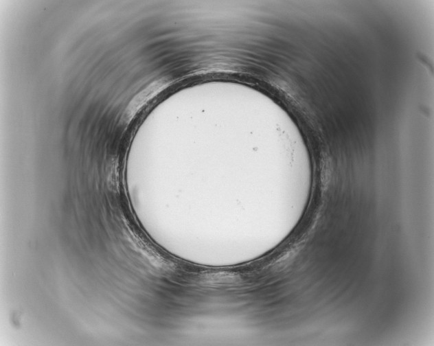 X0000101431113200807280954