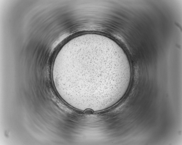 X0000101431114200807280954