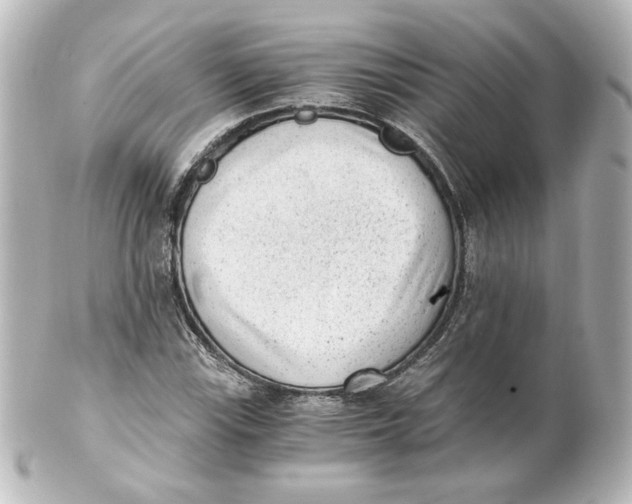 X0000101431115200807280954