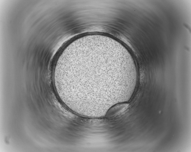 X0000101431116200807280954