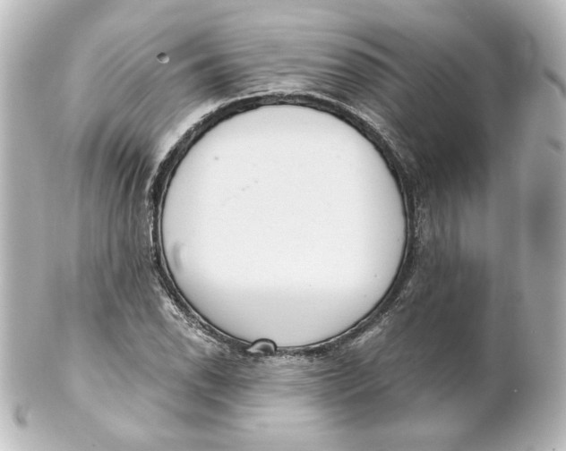 X0000101431118200807280954