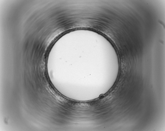 X0000101431119200807280954