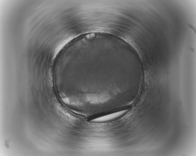 X0000101431120200807280954