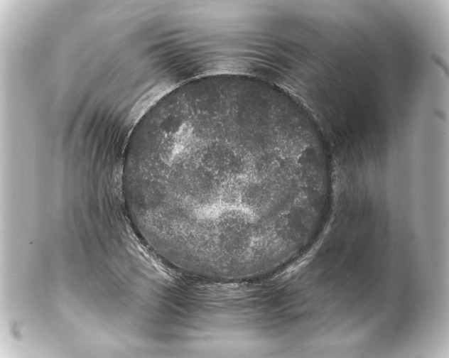 X0000101431121200807280954